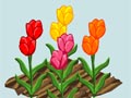 Garden grow